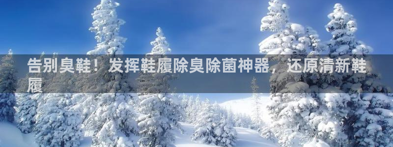 kb88凯时SO权威AG发财网
