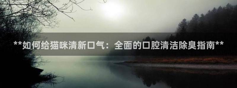 尊龙凯时白家乐