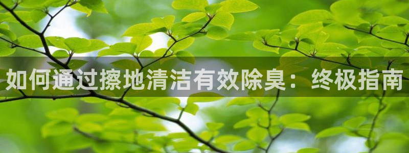尊龙专访