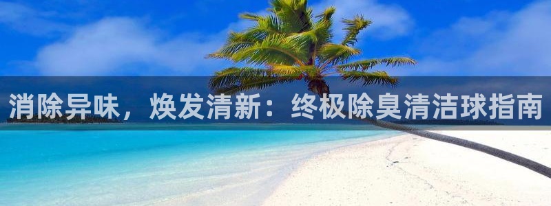 凯时国际app首页登录：消除异味，焕发清新：终极除臭清洁