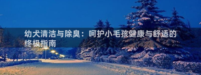 尊龙尊龙