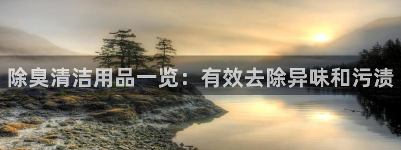 尊龙d88官网登录：除臭清洁用品一览：有效去除异味和污渍
