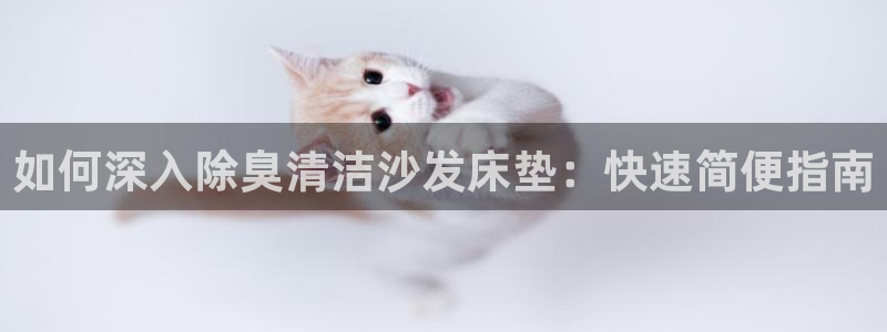 凯时kb88官网网址