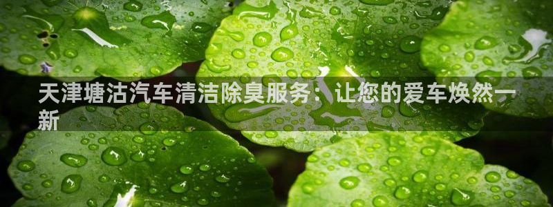 凯时kb88kb88