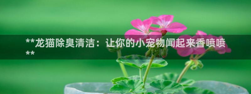 尊龙凯时充值不到账