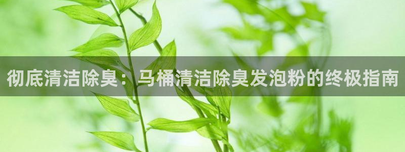 尊龙凯时ag旗舰厅登陆