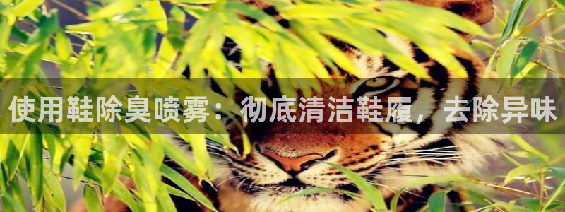 凯时国际app登录：使用鞋除臭喷雾：彻底清洁鞋履，去除异