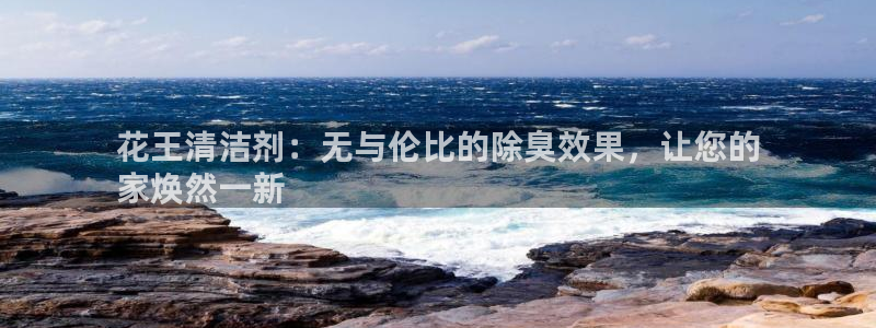 尊龙凯时·中国官方网站：花王清洁剂：无与伦比的除臭效果，