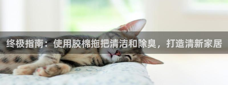 尊龙是什么软件