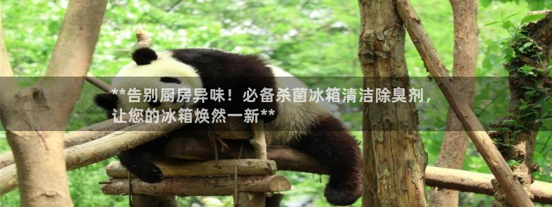 尊龙集团有限公司官网