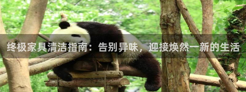 尊龙凯时ag旗舰厅试玩