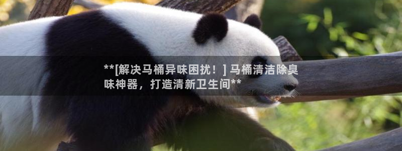尊龙凯时用户名m