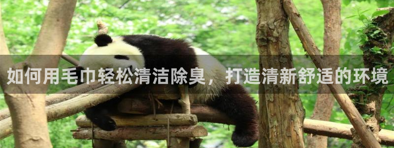 凯时赢来就送38
