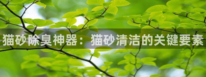 凯时官网app下载官方网站