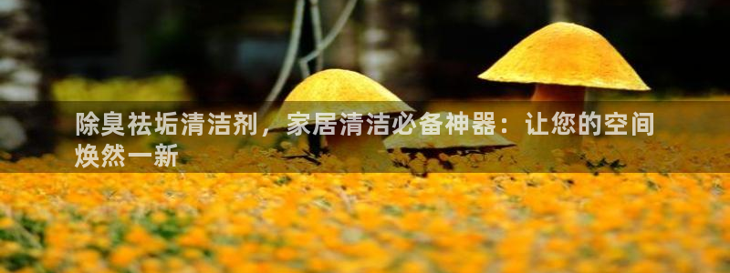 尊龙凯时网页版