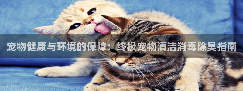 尊龙人生就是博官方官网