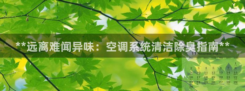 KB88凯时官网：**远离难闻异味：空调系统清洁除臭指南