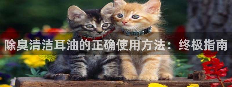 尊龙官网地址