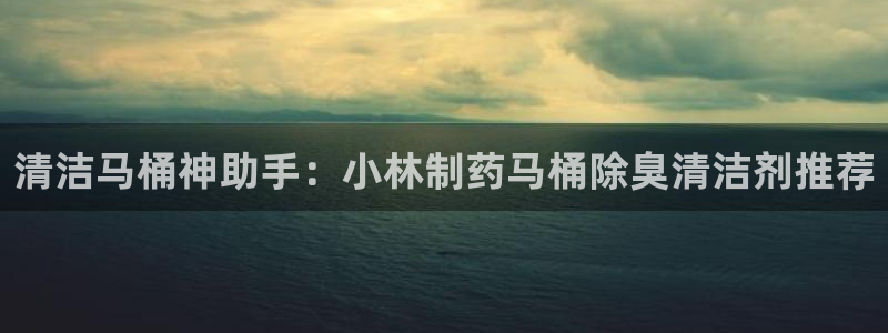 尊龙集团：清洁马桶神助手：小林制药马桶除臭清洁剂推荐