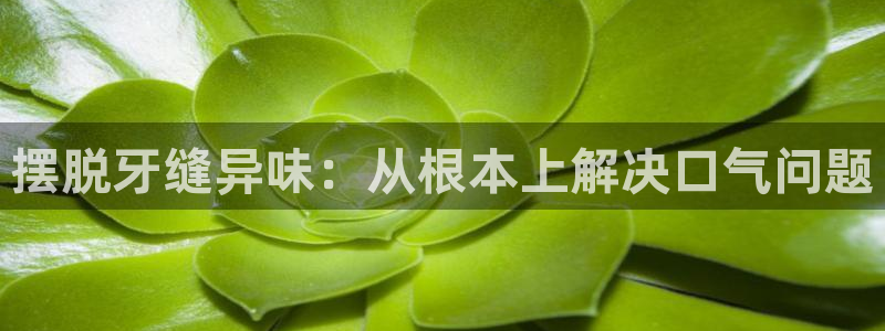 尊龙 5