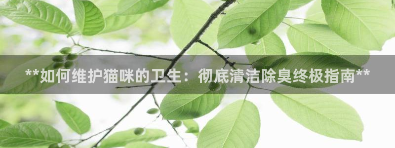 尊龙中国：**如何维护猫咪的卫生：彻底清洁除臭终极指南*