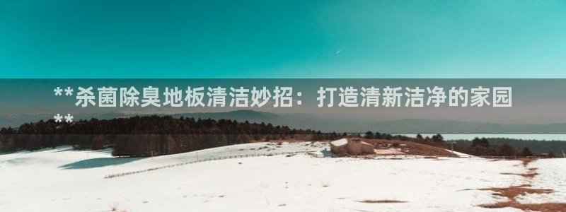 凯时登录首页,凯时K66：**杀菌除臭地板清洁妙招：打造