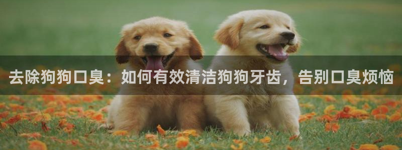 AG尊龙登陆网址