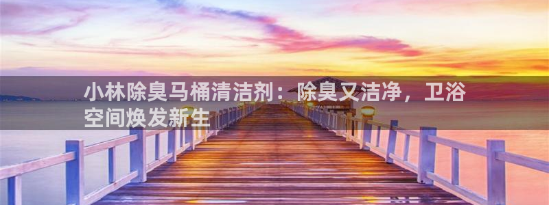尊龙凯时app官网：小林除臭马桶清洁剂：除臭又洁净，卫浴