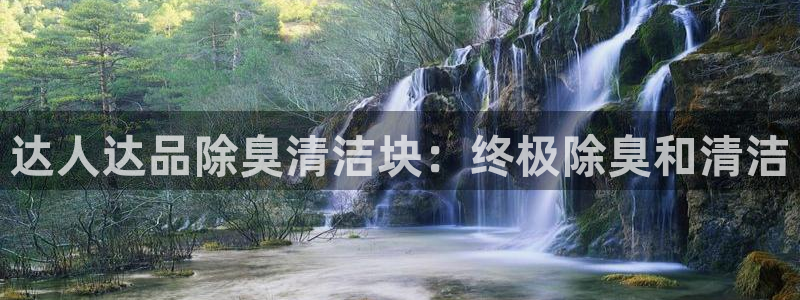 尊龙凯时人生就是搏!平台：达人达品除臭清洁块：终极除臭和