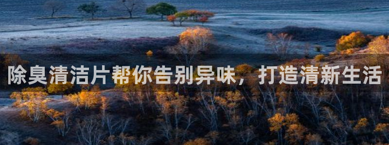 尊龙人生就是博旧版现金娱乐一下