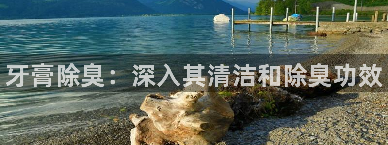 尊龙人生就是博电脑版：牙膏除臭：深入其清洁和除臭功效