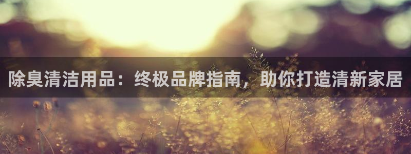 尊龙AG旗舰厅app下载：除臭清洁用品：终极品牌指南，助