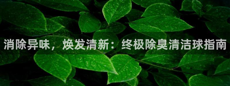 尊龙凯时只输不赢