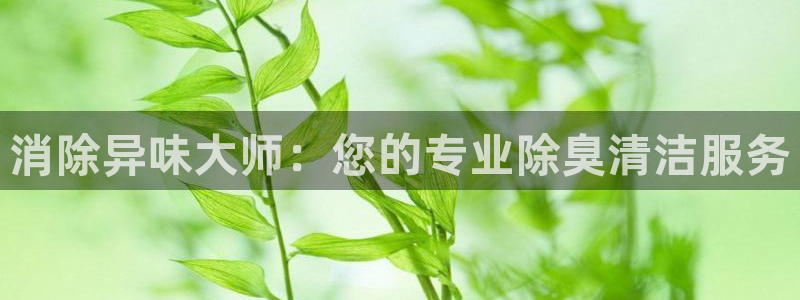 凯时AG网