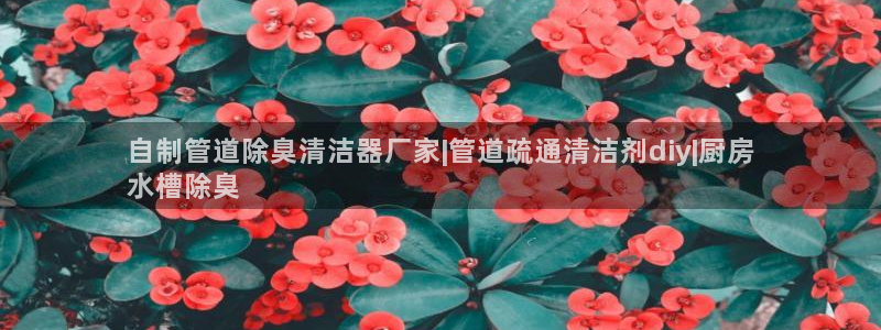 尊龙d88官网选RA来就送38：自制管道除臭清洁器厂家|