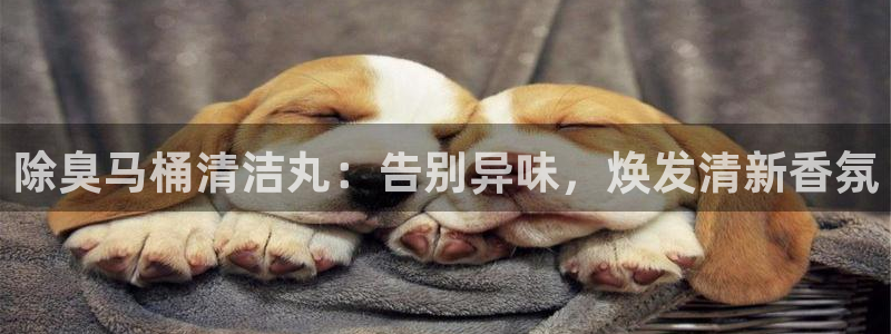尊龙官方网站最新版V9.3.06介绍