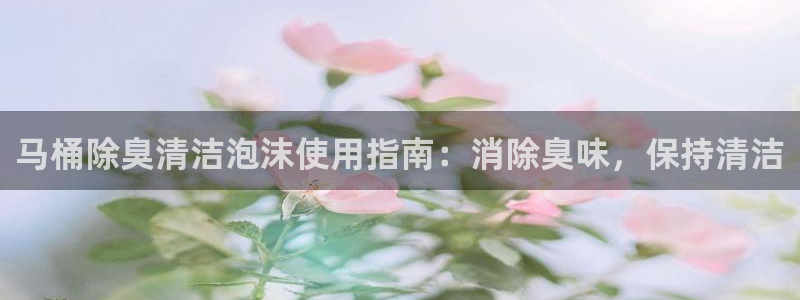 尊龙电子：马桶除臭清洁泡沫使用指南：消除臭味，保持清洁
