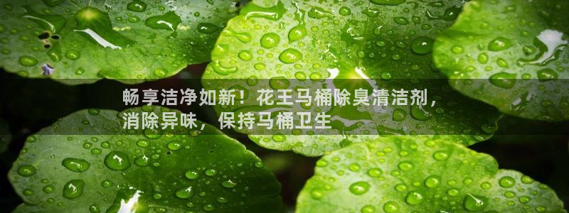 尊龙ktv怎么样