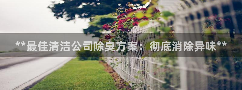 尊龙ag旗舰厅登录 租车app下载：**最佳清洁公司除臭