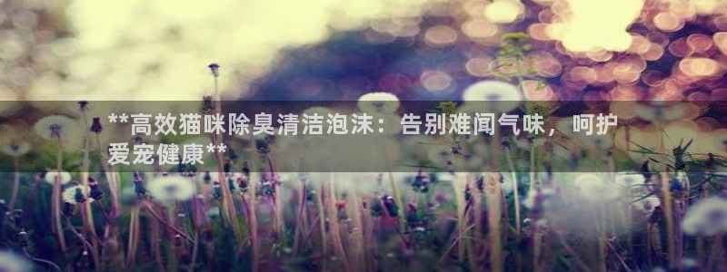 凯时国际网站域名