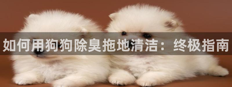 尊龙Ag