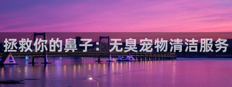 尊龙凯时存款多久到账