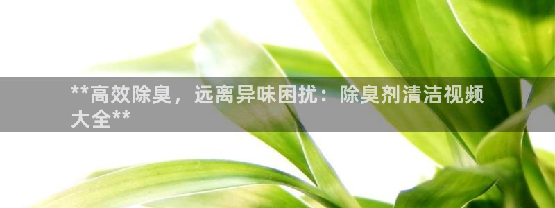 尊龙凯时平台还是万搏好