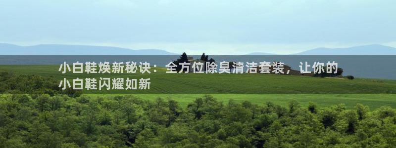 d88尊龙官网登录免费下载：小白鞋焕新秘诀：全方位除臭清