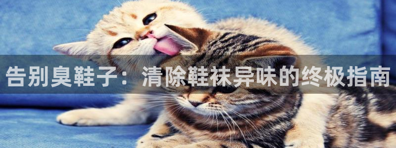 尊龙凯时新闻