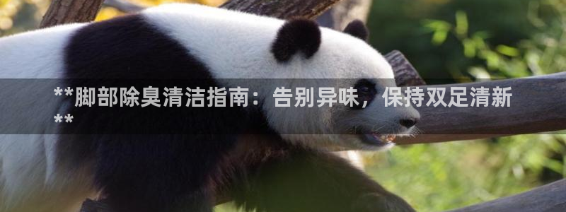 尊龙凯时人生就是博·(中国)官网