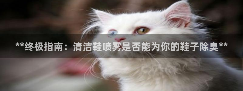 尊龙官网注册：**终极指南：清洁鞋喷雾是否能为你的鞋子除