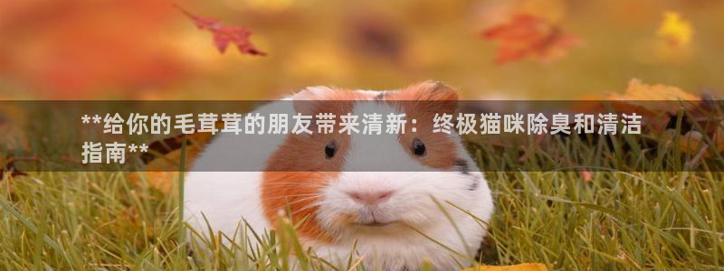 尊龙凯时取款不成功