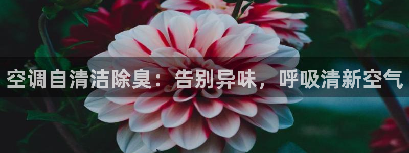 Ag尊龙平台