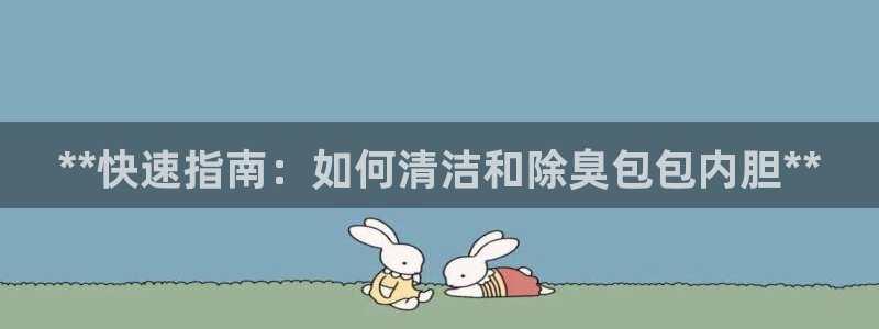 尊龙凯时的钱能退回来吗：**快速指南：如何清洁和除臭包包